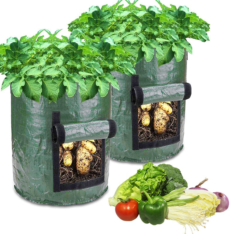Potatispåsen-  Odla potatis hemma