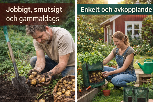 Potatispåsen-  Odla potatis hemma